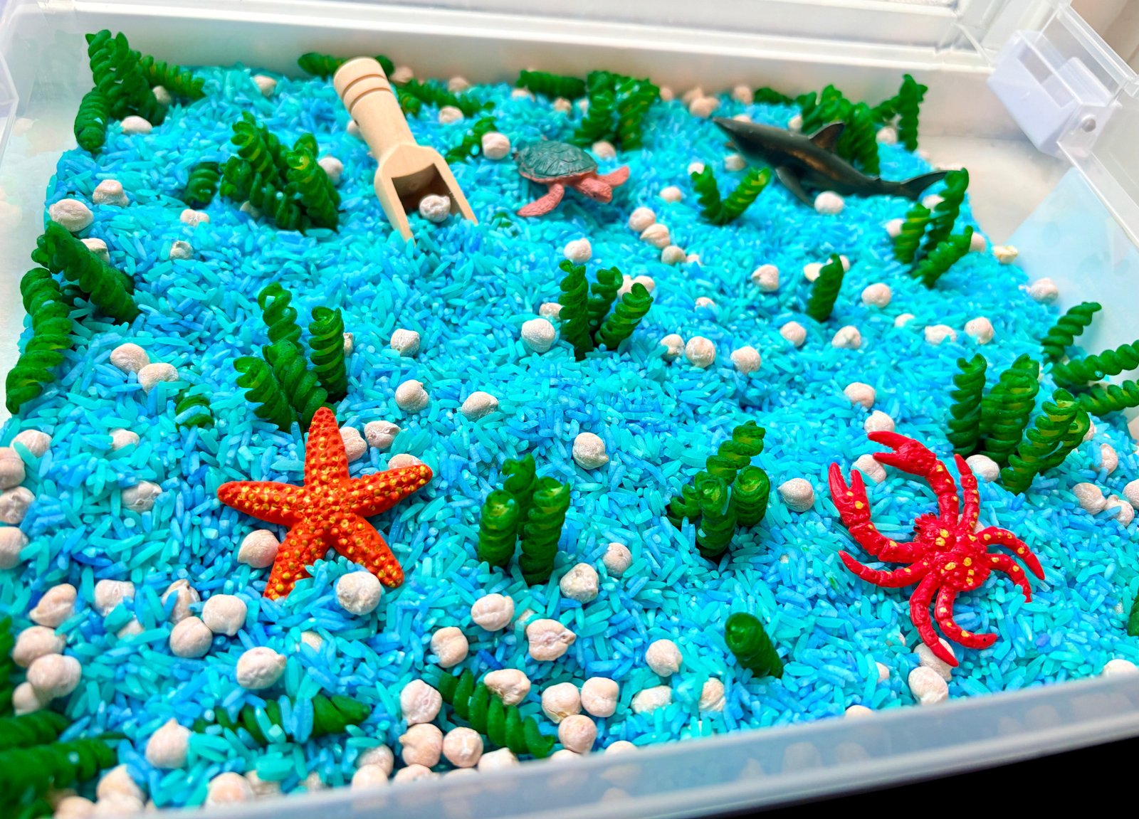 An underwater-themed sensory play box filled with bright blue rice, white pebbles, green seaweed, a wooden scoop, a gray shark toy, a green turtle, and orange and red starfish and crab figures.